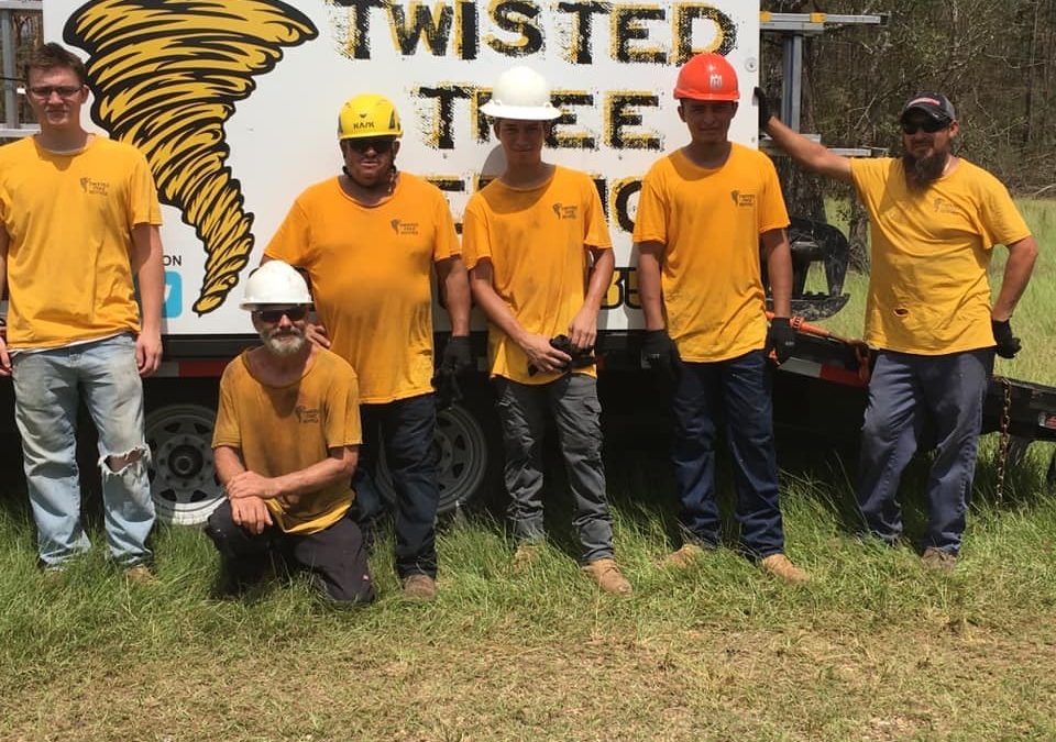 Twisted Tree Service offers Expert Tree Service in Macon, GA