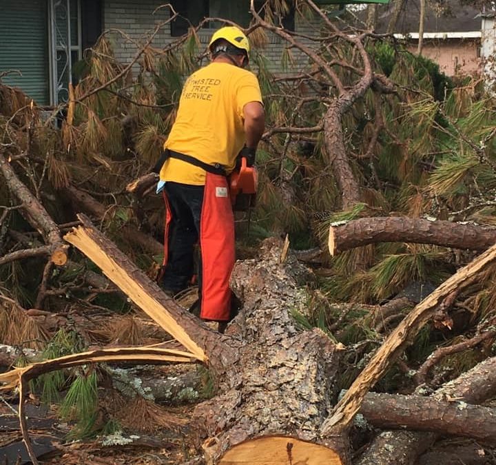 Twisted Tree Service is equipped to handle tree emergencies in Macon, GA,
