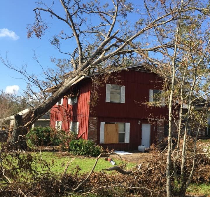 Twisted Tree Service in Macon, GA Offer Emergency Tree Services